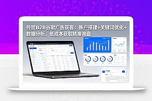 外贸B2B 谷歌广告获客:账户搭建+关键词优化+数据分析 低成本获取精准询盘