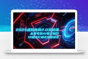 2025虚拟电商2.0实战课,从养号到AI笔记制作,12模块打通无货源变现