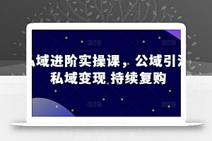 私域进阶实操课,公域引流 私域变现 持续复购
