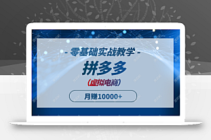 拼多多虚拟电商,零基础实战教学,快速打爆商品,新手也能月入10000+
