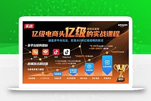 亿级电商头部卖家的实战课程:涵盖多平台玩法,实现从0到亿级规模的跃迁