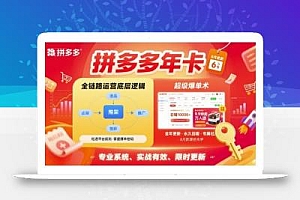 拼多多年卡【8月更新6节】拼多多全链路运营底层逻辑,超级爆单术