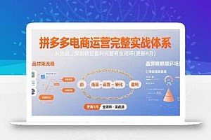 拼多多电商运营完整实战体系,从选品上架到稳定盈利完整商业闭环(更新8月