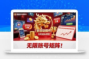 无限账号矩阵!今年龙头项目,游戏试玩全自动,简单操作,单号单日5张【揭秘】
