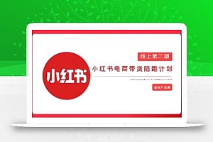 2025小红书虚拟电商实战课,从0到1打造无货源店铺,AI+爆款笔记轻松变现