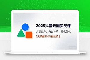 2025抖音云图实战课,人群资产、内容种草、转化优化,2天掌握300%提效技术