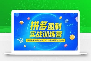 拼多多盈利实战训练营,强付费玩法深度解析,2025运营技巧合集-更新6月