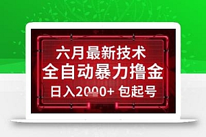 六月最新技术全自动暴力撸金,稳定日入2k+包起号,长期稳定【揭秘】