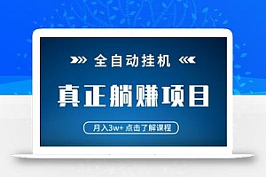 全自动挂机项目 月入3w+ 真正躺平项目 不吃电脑配置 当天见收益
