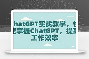 ChatGPT实战教学,快速掌握ChatGPT,提高工作效率