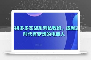 2025拼多多实战系列私教班,成就这个时代有梦想的电商人