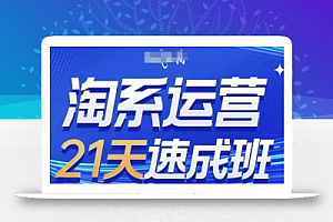 淘系运营21天速成班(更新25年9月),0基础轻松搞定淘系运营,不做假把式