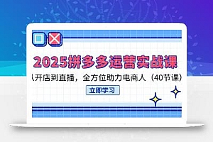 2025拼多多运营实战课,从开店到直播,全方位助力电商人(40节课