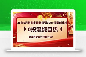 25年6月拼多多最新日引300+付费创业粉,0投流纯自热 卖课月变现六位数方法
