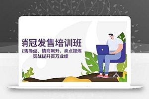 销冠 发售培训班:发售 操盘+情商 飙升+卖点 提炼,实战提升百万业绩