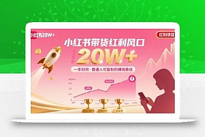 一年时间靠小红书带货项目年入20w+,最不能错的大红利项目