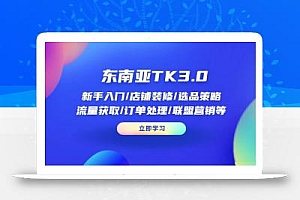 东南亚TK3.0:新手入门/店铺装修/选品策略/流量获取/订单处理/联盟营销等