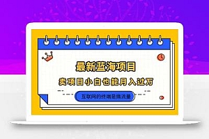 2025年最新蓝海项目,卖项目小白也能月入过万