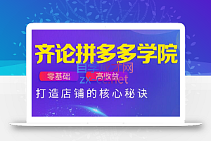齐论拼多多vip课程