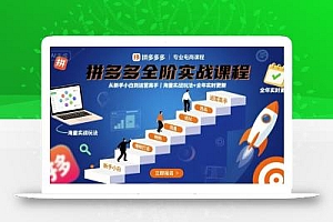 拼多多全阶实战课程,从新手小白到运营高手,海量实战玩法+全年实时更新【2025年9月更新】