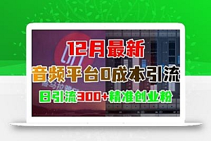 12月最新:音频平台0成本引流,日引流300+精准创业粉