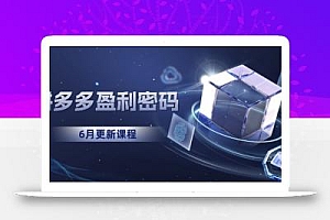 拼多多盈利密码:从烧钱推广到印钞模型,底层逻辑重构指南(6月更新