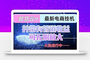 智慧云π电脑挂机单机每天收益300—500+ 并带有团队管道收益 可无限放大