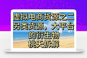 虚拟电商之二—另类的货源,大平台的衍生物