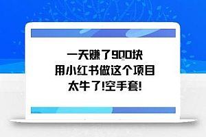 一天挣了9张用小红书做这个项目太牛了,空手套