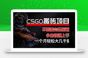 CSGO 装备搬砖项目,操作简单,不需要会玩游戏,小白也能快速上手,一个月轻松大几千【揭秘】