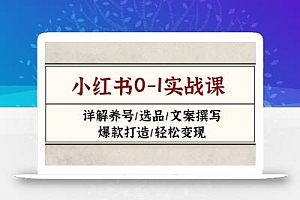 小红书0-1实战课(2023-2025),详解养号/选品/文案撰写/爆款打造/轻松变现