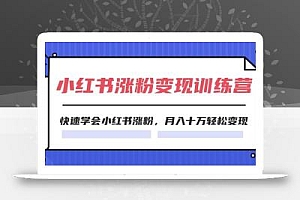 2024小红书涨粉变现训练营,快速学会小红书涨粉,月入十万轻松变现(40节