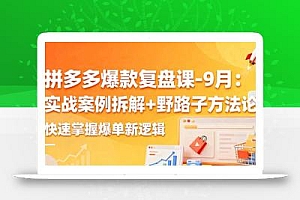 拼多多爆款复盘课-9月:实战案例拆解+野路子方法论,快速掌握爆单新逻辑