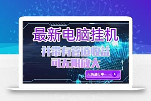 电脑挂机单机每天收益300—500+ 并带有团队管道收益 可无限放大