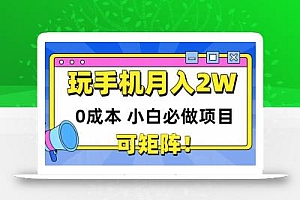 玩玩手机月入20000+,0成本小白必做项目,可矩阵