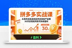 拼多多实战课:从高利润选品到自然流高投产起爆 30天实现低风险可持续盈利