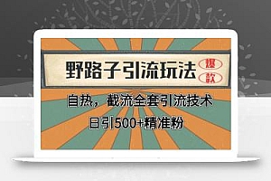 2024首发野路子引流玩法截流自热全平台打法,全自动引流【日引2000+精准客户】
