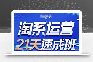 淘系运营21天速成班(更新25年4月),0基础轻松搞定淘系运营,不做假把式