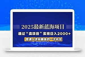 2025年蓝海项目,如何通过“网创项目”日入2000+