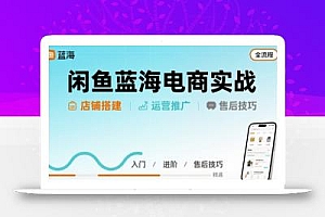 闲鱼蓝海电商实战,店铺搭建运营售后全流程
