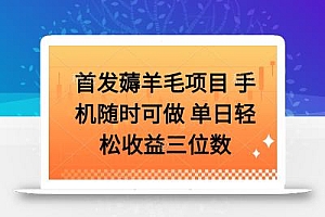 薅羊毛项目 手机随时可做 单日轻松收益三位数