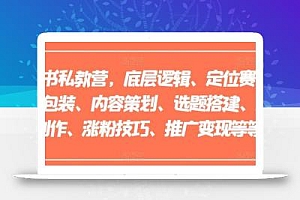 小红书私教营,底层逻辑、定位赛道、账号包装、内容策划、选题搭建、爆款创作、涨粉技巧、推广变现等等