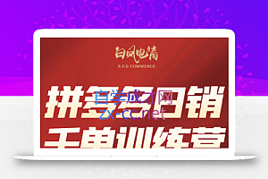 白凤电商·拼多多日销千单训练营(更新9月)