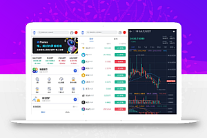 Phemex多语言交易所源码/期权交易+合约交易+新币申购+锁仓挖矿+平台币发行+K线行情控制/前端uniapp编译后+后端PHP