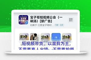 宝子哥头部团队短视频带货,以混剪为主,不需要真人出镜,不需要拍摄【更新9月】