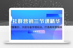 社群营销三节课精华:掌握叠价、大促与金字塔玩法,打造高效营销体系