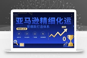 亚马逊精细化运营爆款打造体系,视频课+全套资料文档