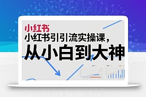 小红书引流实操课,从小白到大神