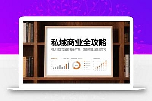 私域商业全攻略,强人设定位加高客单产品,团队搭建与风险管控
