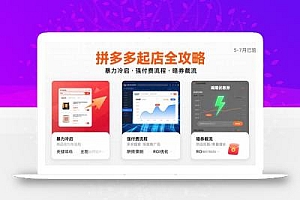 拼多多起店全攻略,暴力冷启,强付费流程,暗券截流,5-7月已验证的方法